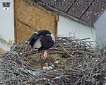 Capi_Dubne_20260522_130503.jpg