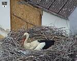 Capi_Dubne_20260522_131003.jpg