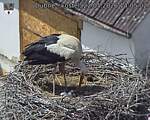 Capi_Dubne_20260522_140502.jpg