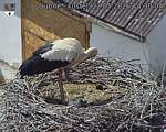 Capi_Dubne_20260522_143004.jpg
