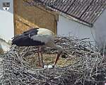 Capi_Dubne_20260522_144003.jpg