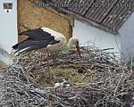 Capi_Dubne_20260522_144502.jpg