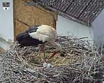 Capi_Dubne_20260522_145004.jpg