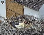 Capi_Dubne_20260522_152502.jpg