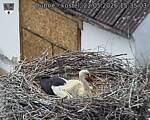 Capi_Dubne_20260522_153503.jpg