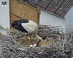 Capi_Dubne_20260522_154003.jpg