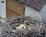 Capi_Dubne_20260522_154504.jpg