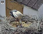 Capi_Dubne_20260522_155503.jpg