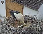 Capi_Dubne_20260522_160502.jpg