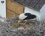 Capi_Dubne_20260522_161003.jpg