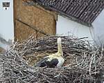 Capi_Dubne_20260522_162003.jpg