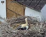Capi_Dubne_20260522_163003.jpg