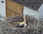 Capi_Dubne_20260522_163503.jpg