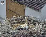 Capi_Dubne_20260522_164003.jpg