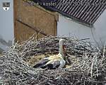 Capi_Dubne_20260522_164503.jpg