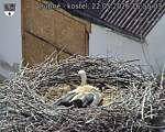 Capi_Dubne_20260522_165503.jpg