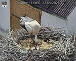 Capi_Dubne_20260522_170503.jpg