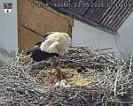 Capi_Dubne_20260522_171003.jpg