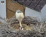 Capi_Dubne_20260522_172503.jpg