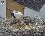 Capi_Dubne_20260522_173003.jpg
