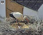 Capi_Dubne_20260522_174503.jpg