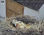 Capi_Dubne_20260522_180503.jpg