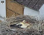 Capi_Dubne_20260522_182503.jpg