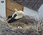 Capi_Dubne_20260522_183503.jpg