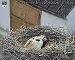Capi_Dubne_20260522_185004.jpg