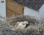 Capi_Dubne_20260522_185503.jpg