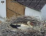 Capi_Dubne_20260522_191003.jpg