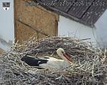 Capi_Dubne_20260522_191502.jpg