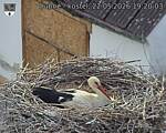 Capi_Dubne_20260522_192003.jpg