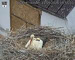Capi_Dubne_20260522_195503.jpg
