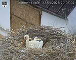 Capi_Dubne_20260522_200502.jpg