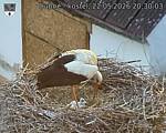 Capi_Dubne_20260522_203003.jpg