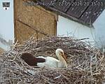 Capi_Dubne_20260522_203503.jpg