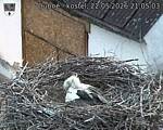 Capi_Dubne_20260522_210503.jpg