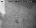 Capi_Dubne_20260523_011003.jpg