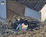 Capi_Dubne_20260523_061003.jpg
