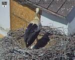 Capi_Dubne_20260523_112504.jpg