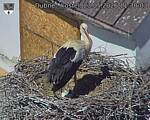 Capi_Dubne_20260523_113003.jpg
