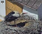 Capi_Dubne_20260523_121502.jpg