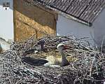 Capi_Dubne_20260523_142503.jpg