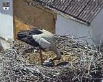Capi_Dubne_20260523_145002.jpg