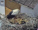 Capi_Dubne_20260523_145503.jpg