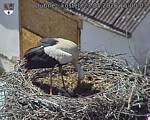 Capi_Dubne_20260523_150003.jpg