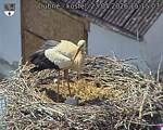 Capi_Dubne_20260523_151503.jpg