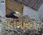 Capi_Dubne_20260523_153502.jpg