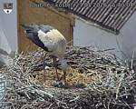 Capi_Dubne_20260523_154004.jpg
